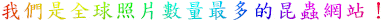 ڭ̬OyӤƶq̦hκC