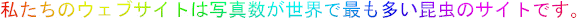 ̃EFuTCg͎ʐ^Eōł̃TCgłB
